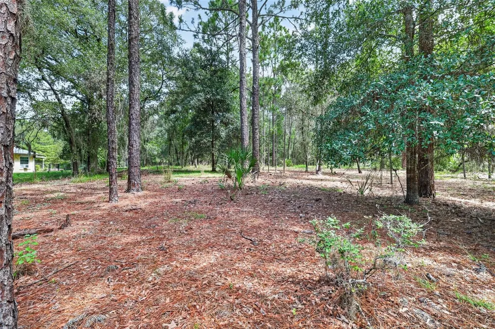 0 SW 82 STREET Dunnellon, FL 34431