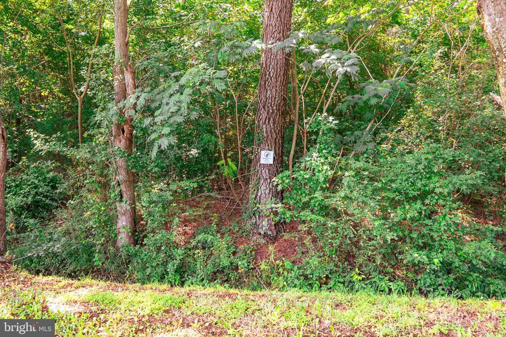 663 PEACH ROAD Chesapeake, VA 23321