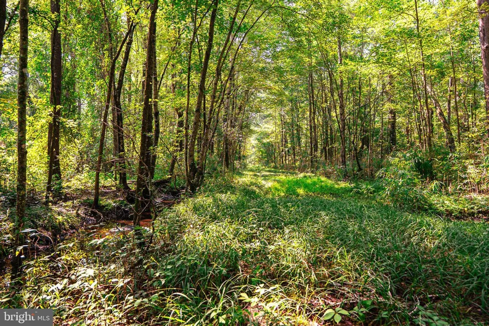 663 PEACH ROAD Chesapeake, VA 23321