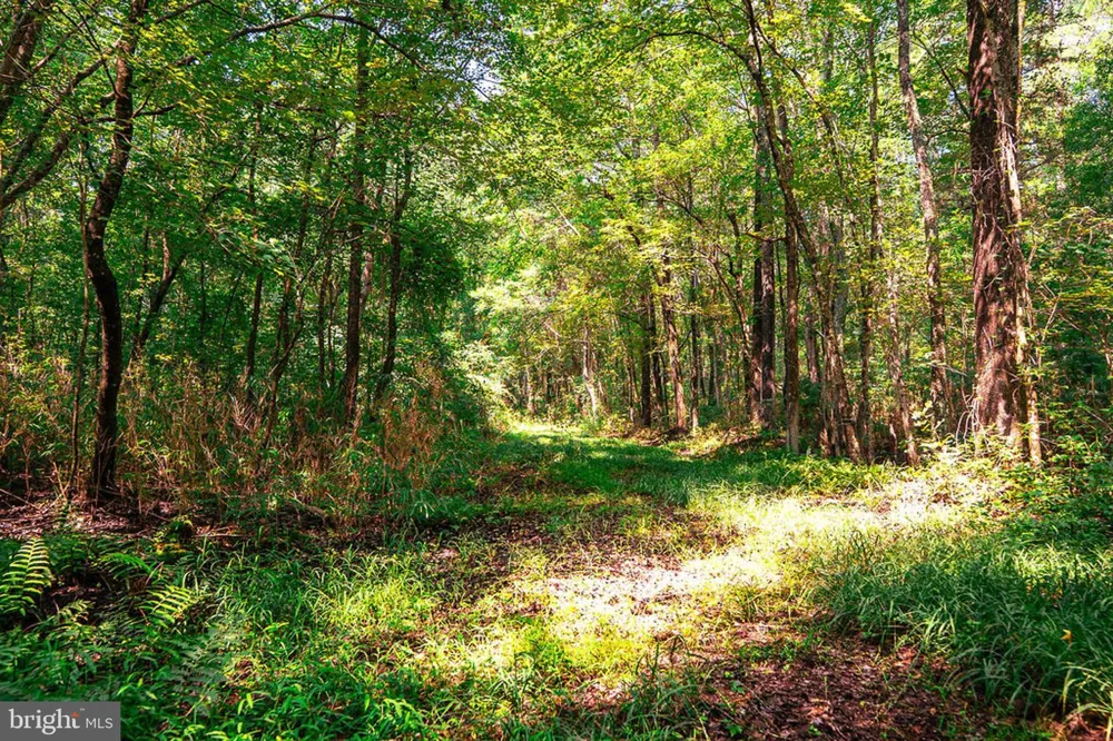 663 PEACH ROAD Chesapeake, VA 23321