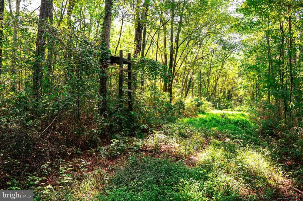 663 PEACH ROAD Chesapeake, VA 23321