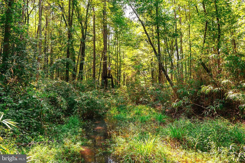 663 PEACH ROAD Chesapeake, VA 23321