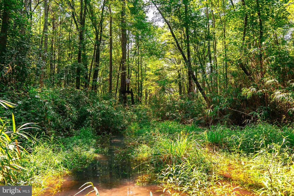 663 PEACH ROAD Chesapeake, VA 23321