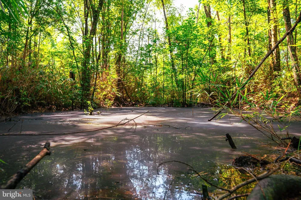 663 PEACH ROAD Chesapeake, VA 23321