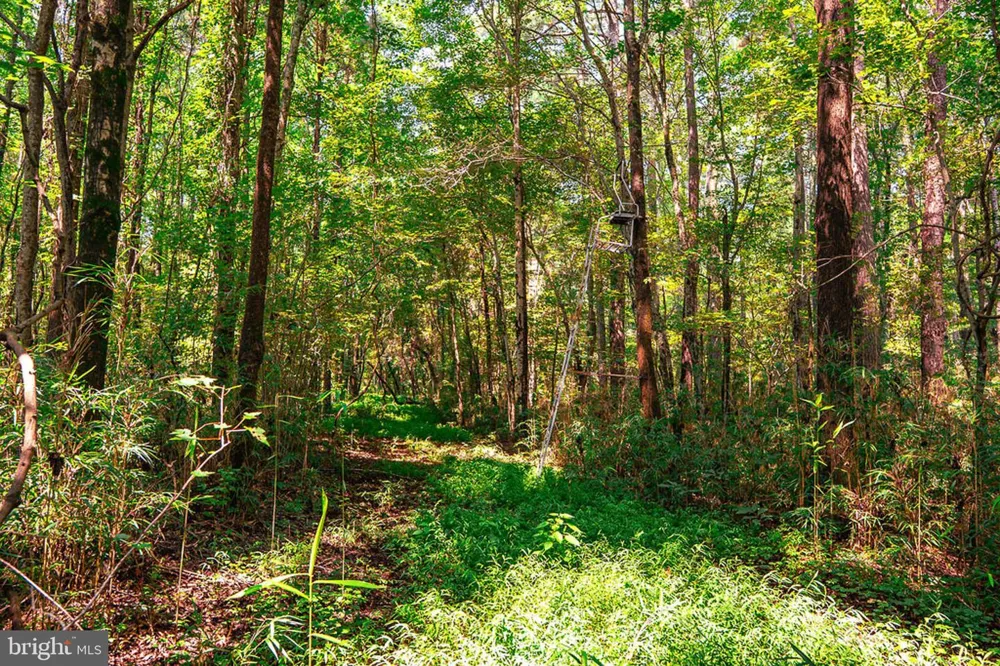 663 PEACH ROAD Chesapeake, VA 23321