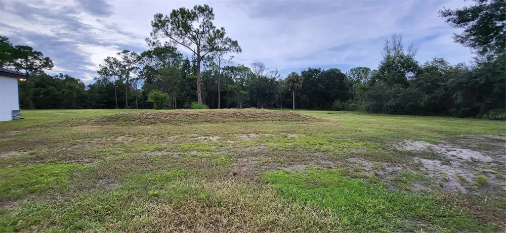 1685 E OSCEOLA ROAD Geneva, FL 32732