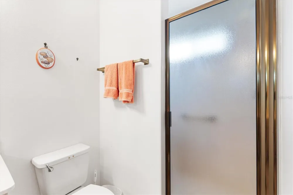 811 SAN SALVADOR DRIVE The Villages, FL 32159