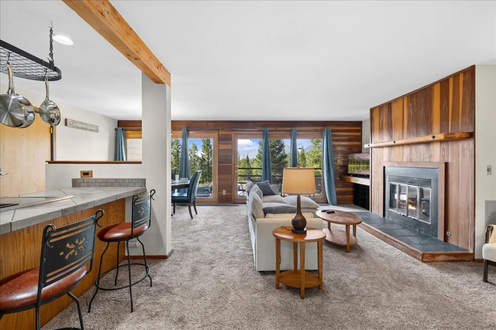 91300 Ryan Gulch Road #91301 Silverthorne, CO 80498