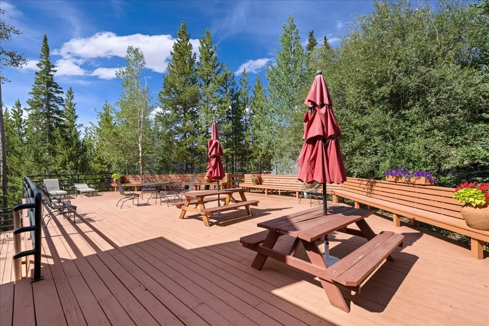 91300 Ryan Gulch Road #91301 Silverthorne, CO 80498