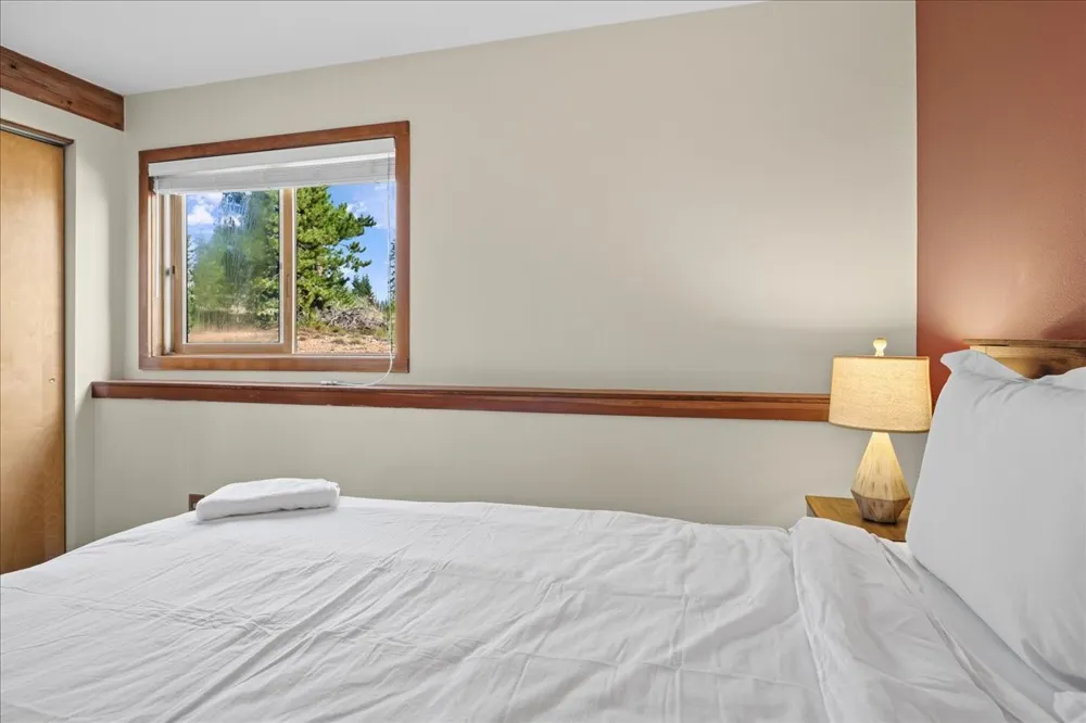 91300 Ryan Gulch Road #91301 Silverthorne, CO 80498