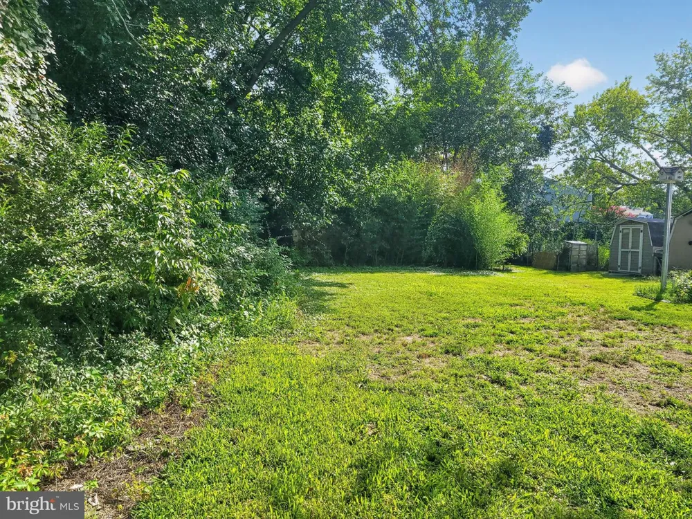 913 ROSLYN AVENUE Cambridge, MD 21613