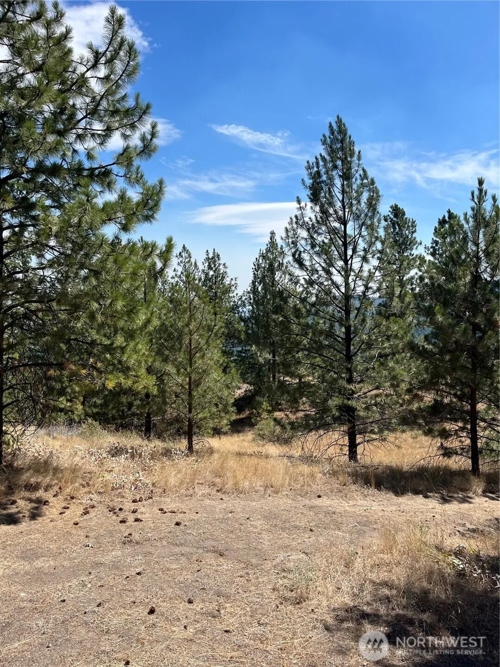 20 Doe Mountain Road Tonasket, WA 98855