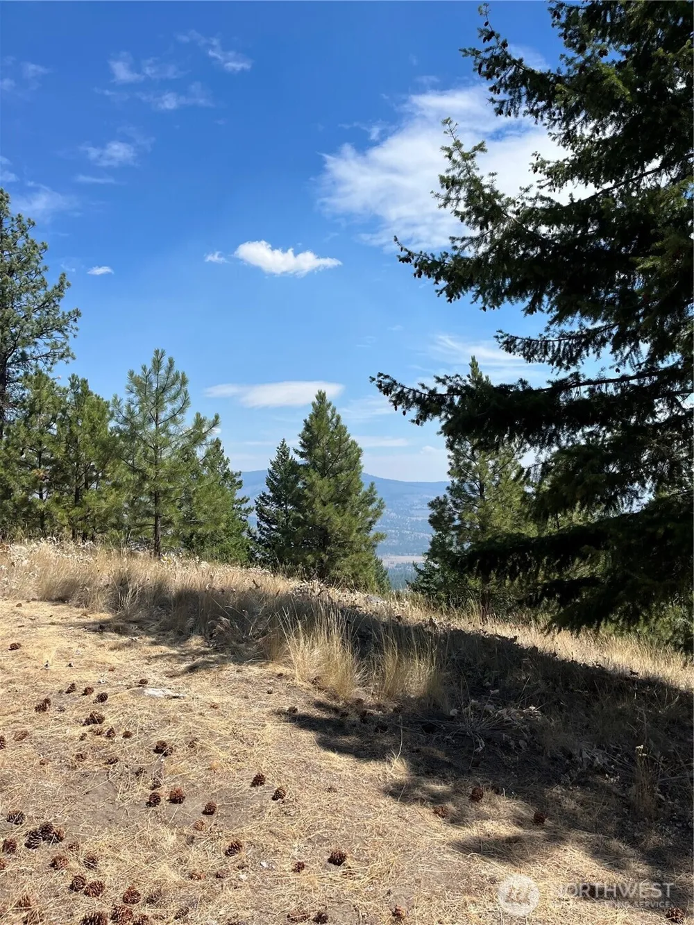 20 Doe Mountain Road Tonasket, WA 98855