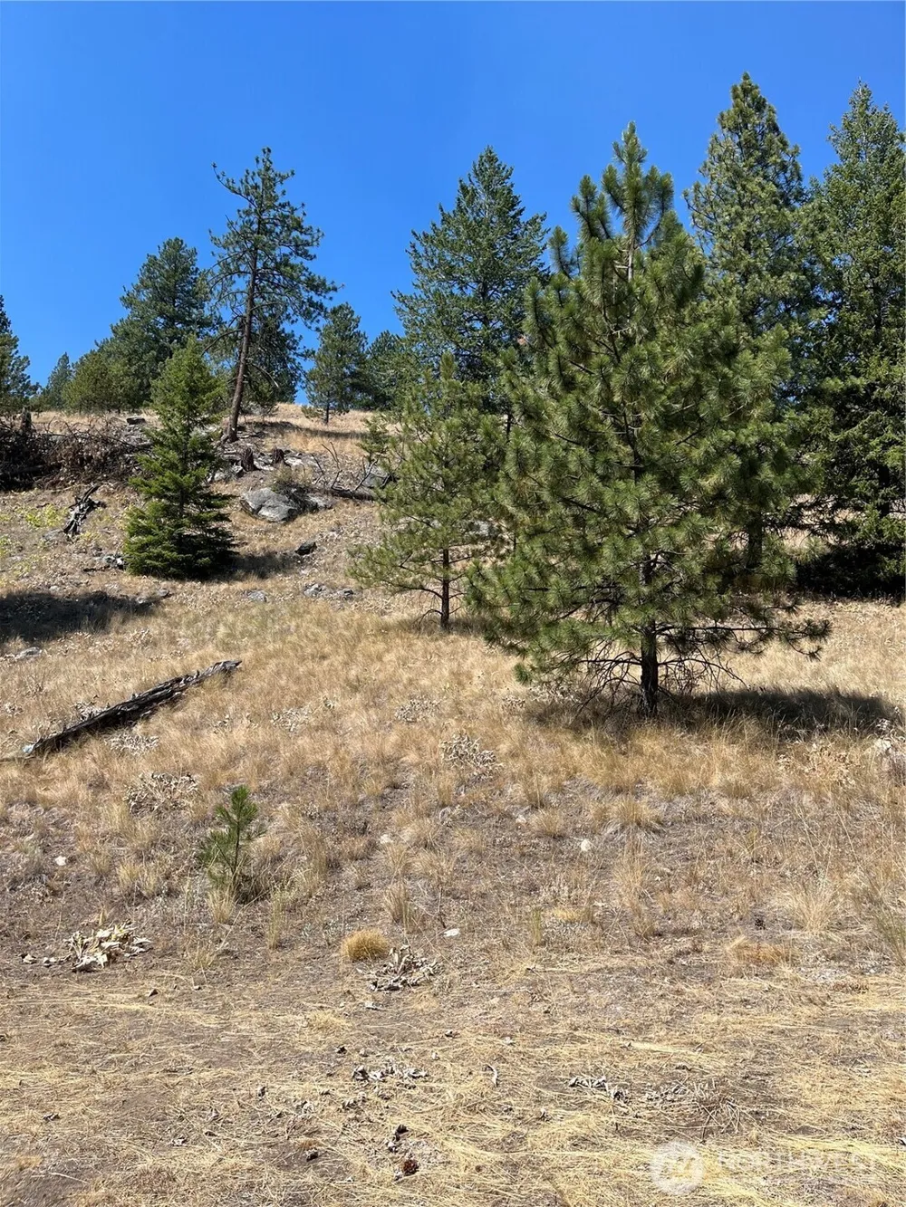 20 Doe Mountain Road Tonasket, WA 98855