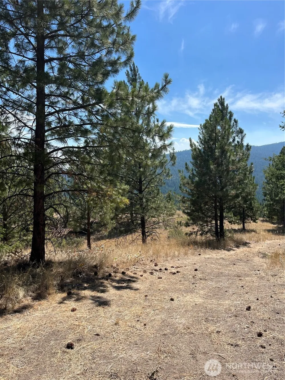 20 Doe Mountain Road Tonasket, WA 98855