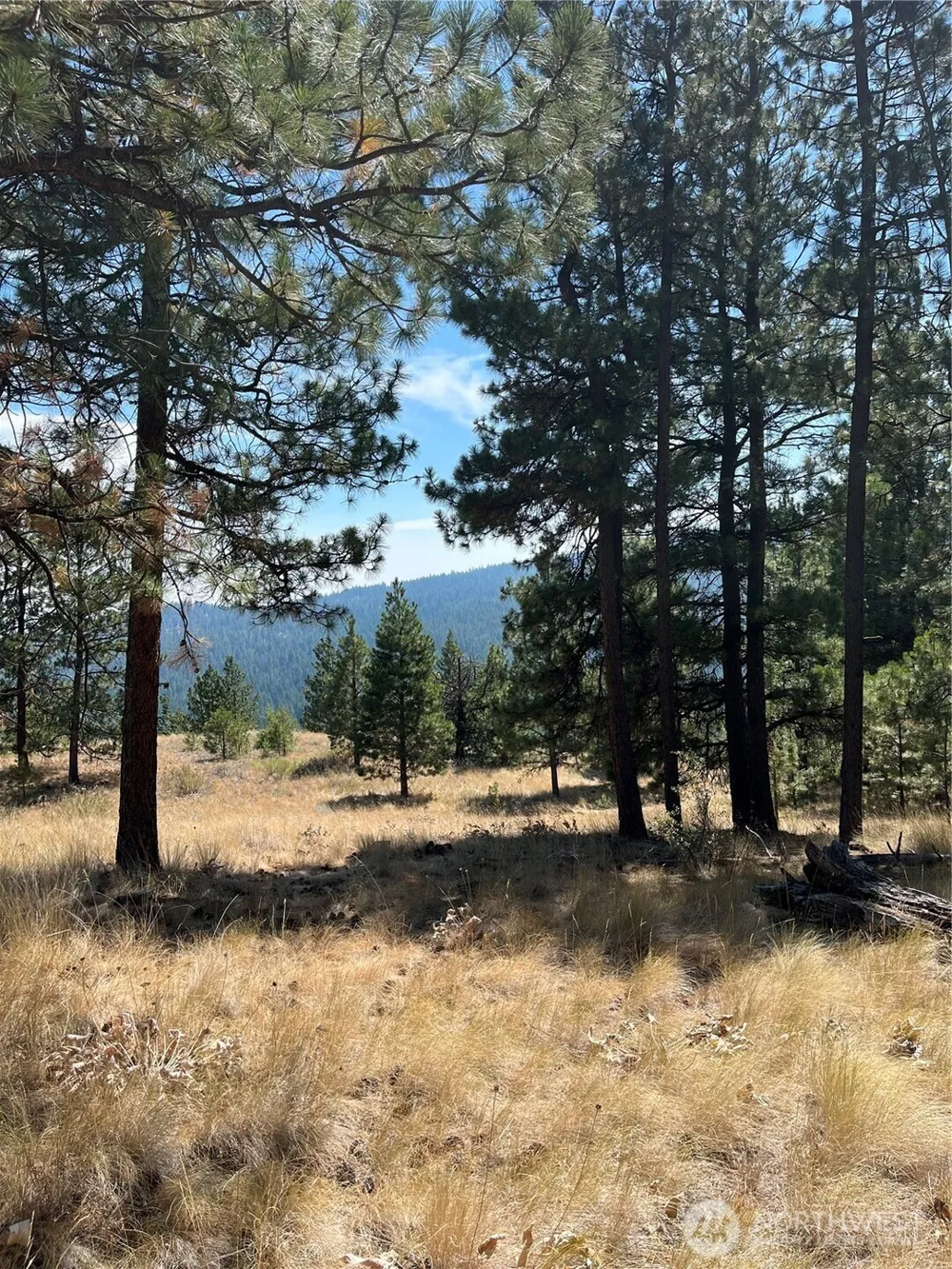 20 Doe Mountain Road Tonasket, WA 98855