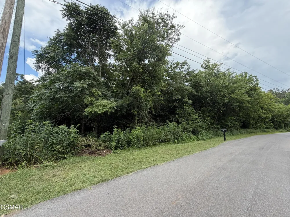 15 Sunrise Boulevard Kodak, TN 37764