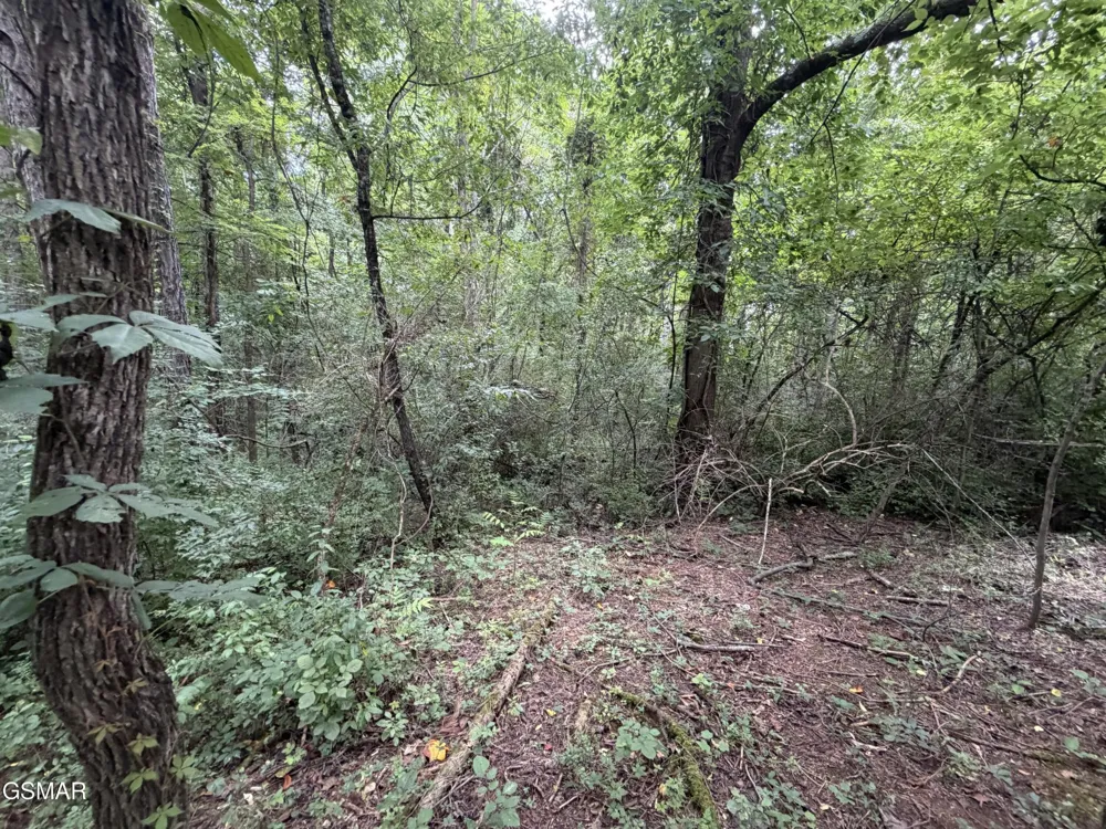 15 Sunrise Boulevard Kodak, TN 37764