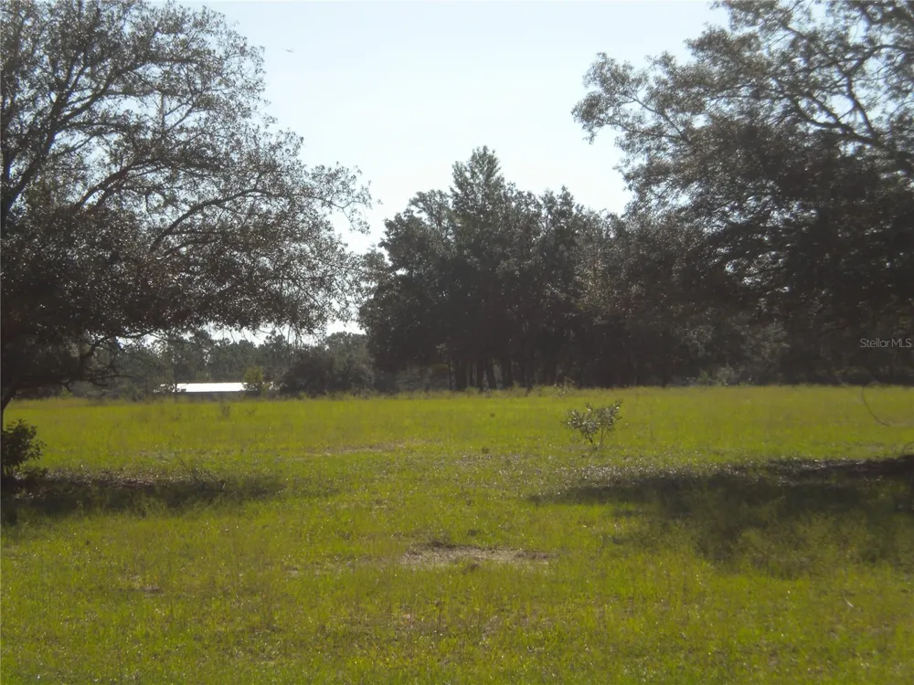 LOT14 SE 136 TH TERRACE Dunnellon, FL 34431