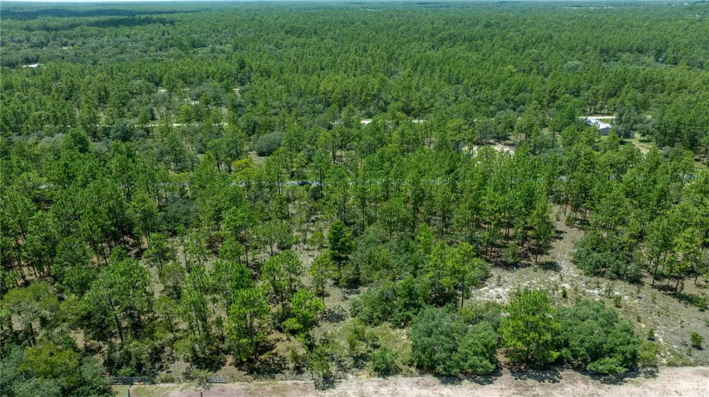 LOT14 SE 136 TH TERRACE Dunnellon, FL 34431