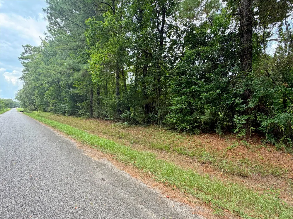 21981 Carol Road New Caney, TX 77357