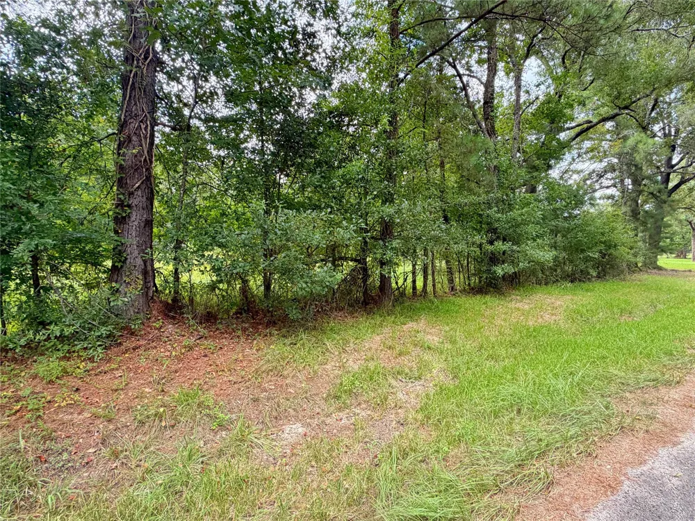 21981 Carol Road New Caney, TX 77357