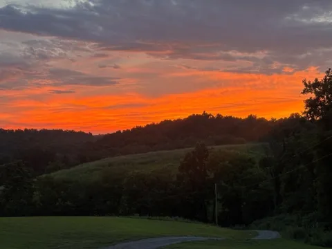557 Ward Hollow Road