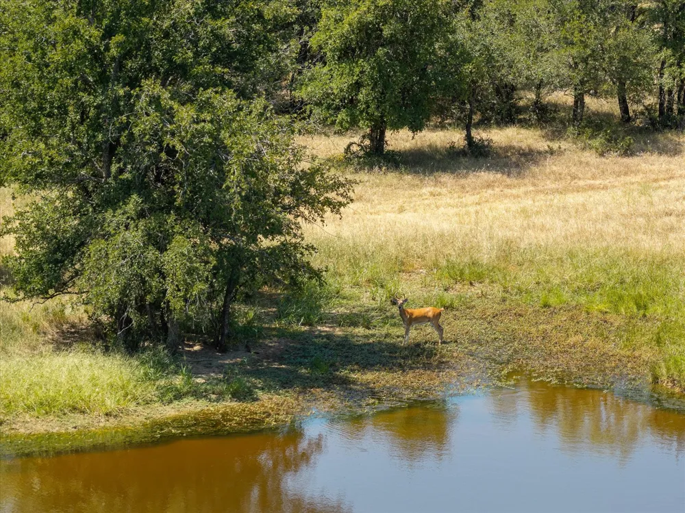 5888 County Road 125 Gordon, TX 76453