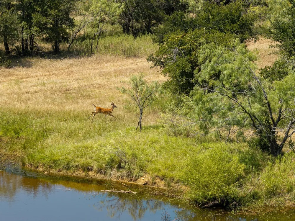 5888 County Road 125 Gordon, TX 76453