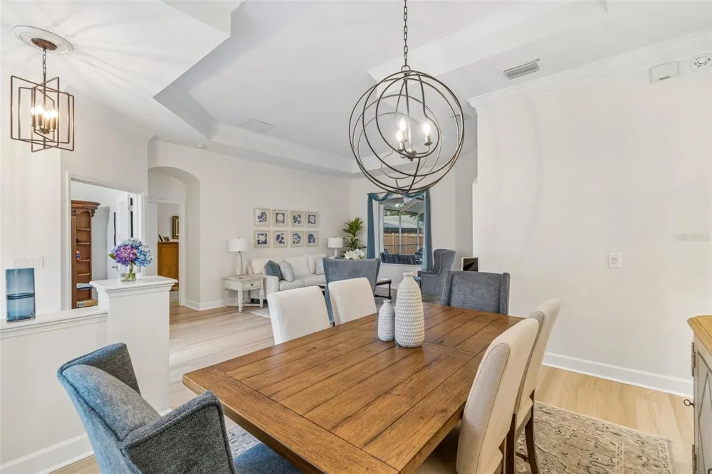 3825 MISTY LANDING DRIVE Valrico, FL 33594