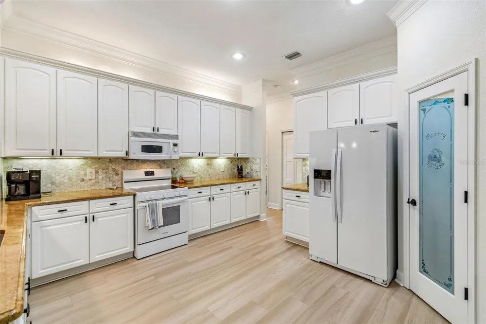3825 MISTY LANDING DRIVE Valrico, FL 33594