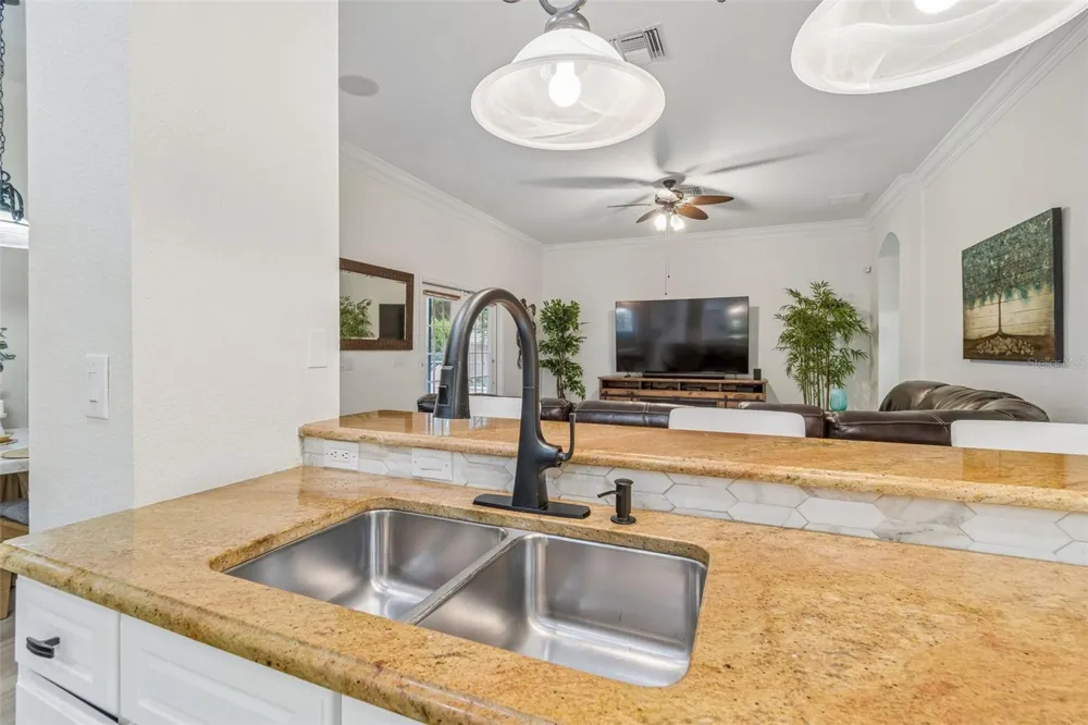 3825 MISTY LANDING DRIVE Valrico, FL 33594