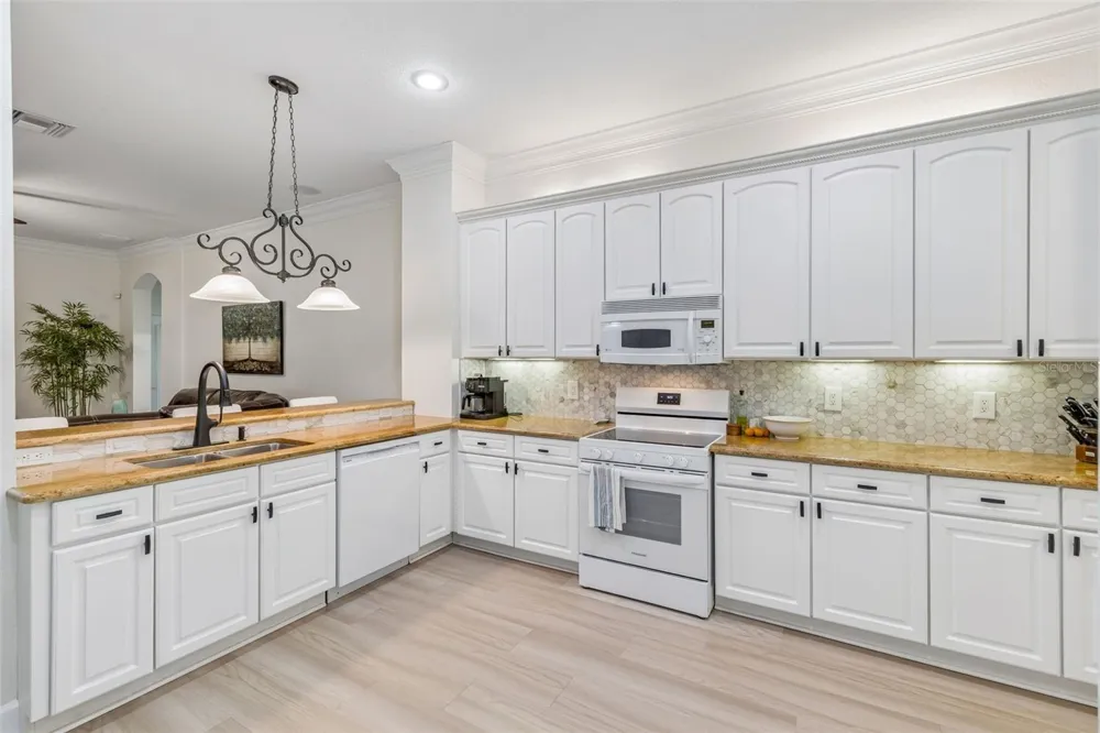 3825 MISTY LANDING DRIVE Valrico, FL 33594