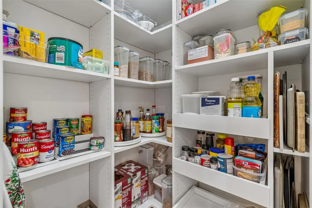 3825 MISTY LANDING DRIVE Valrico, FL 33594