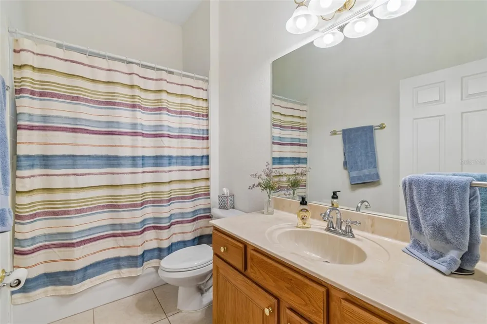 3825 MISTY LANDING DRIVE Valrico, FL 33594
