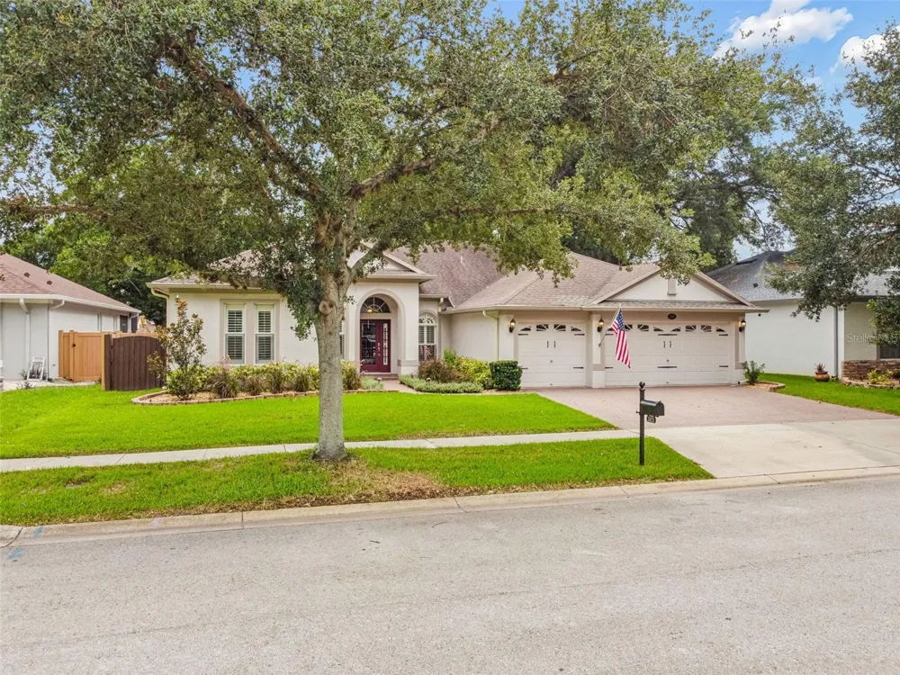 3825 MISTY LANDING DRIVE Valrico, FL 33594