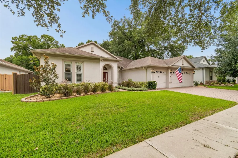 3825 MISTY LANDING DRIVE Valrico, FL 33594