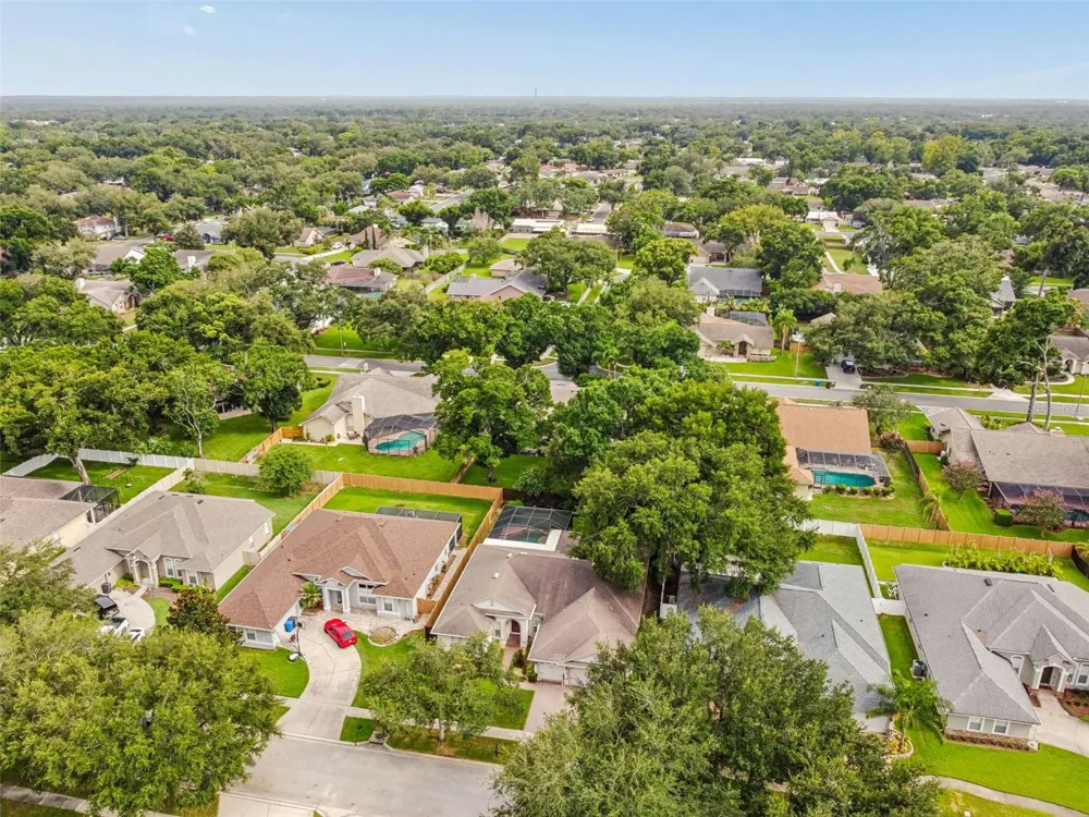 3825 MISTY LANDING DRIVE Valrico, FL 33594
