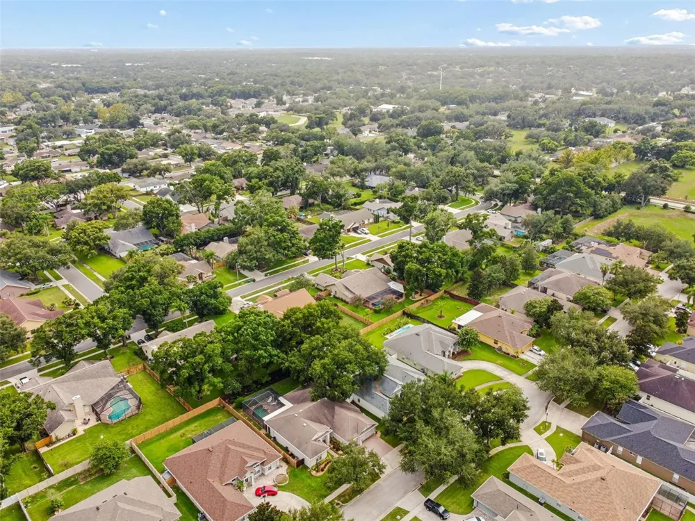 3825 MISTY LANDING DRIVE Valrico, FL 33594