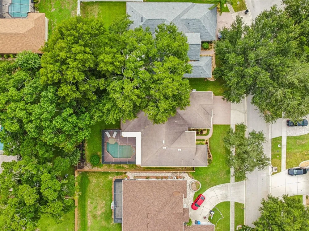 3825 MISTY LANDING DRIVE Valrico, FL 33594
