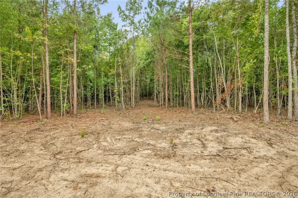 Riverstead (Lot 4) Road W Fayetteville, NC 28312