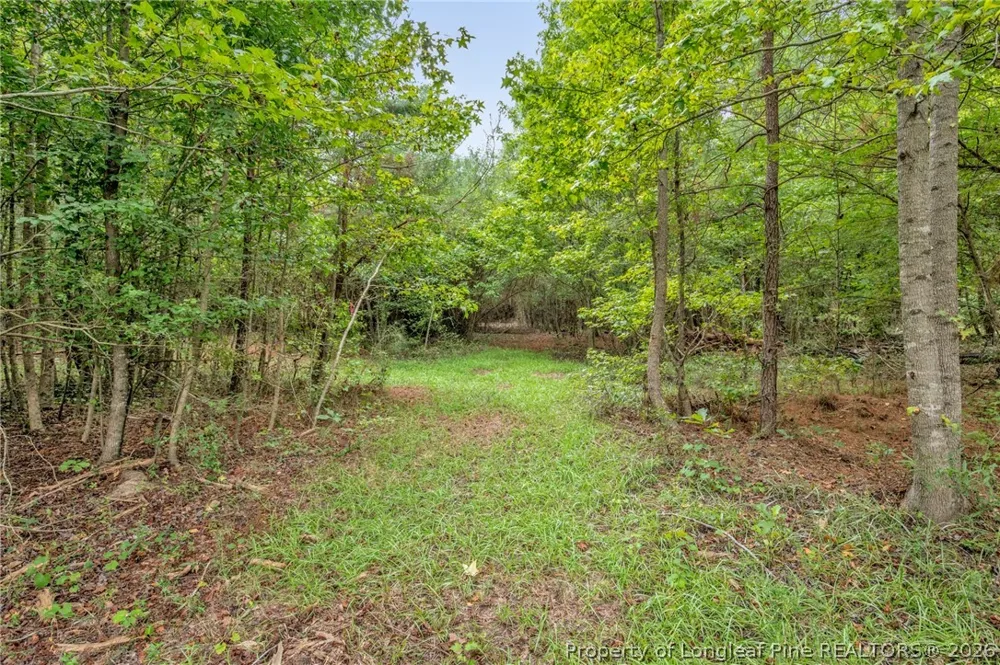 Riverstead (Lot 4) Road W Fayetteville, NC 28312