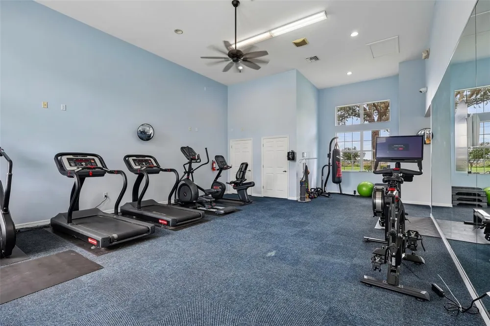 343 BLUE CYPRESS DRIVE Groveland, FL 34736