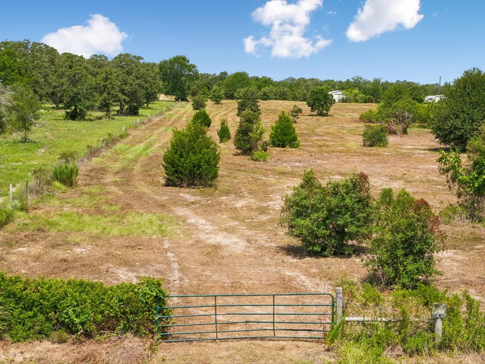 1430 Raymond Lehmann Lane Ledbetter, TX 78946
