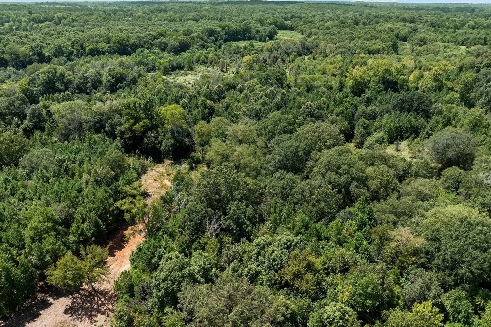 459 County Road 3303 Omaha, TX 75571
