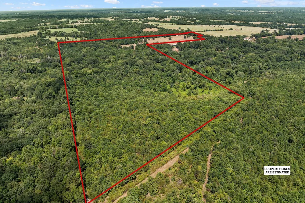459 County Road 3303 Omaha, TX 75571