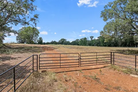 459 County Road 3303