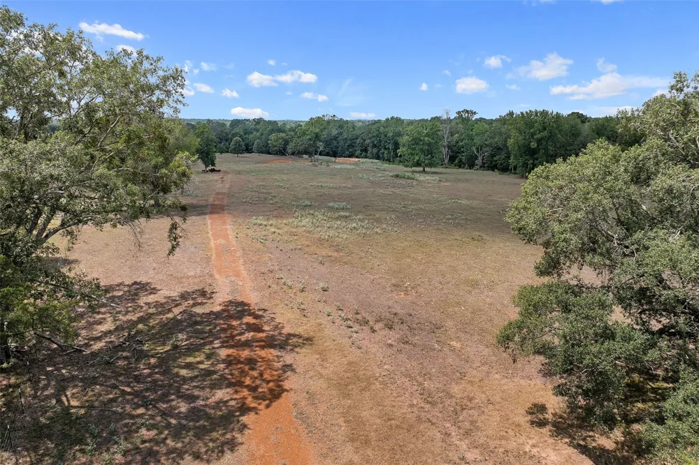 459 County Road 3303 Omaha, TX 75571