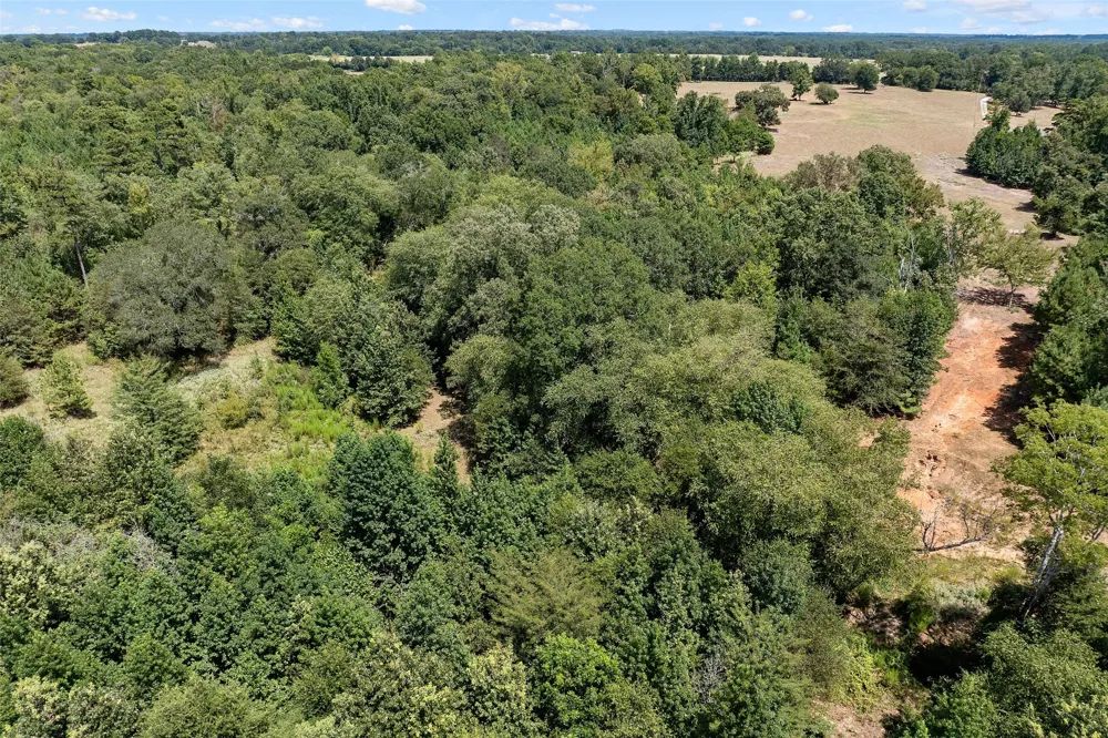 459 County Road 3303 Omaha, TX 75571