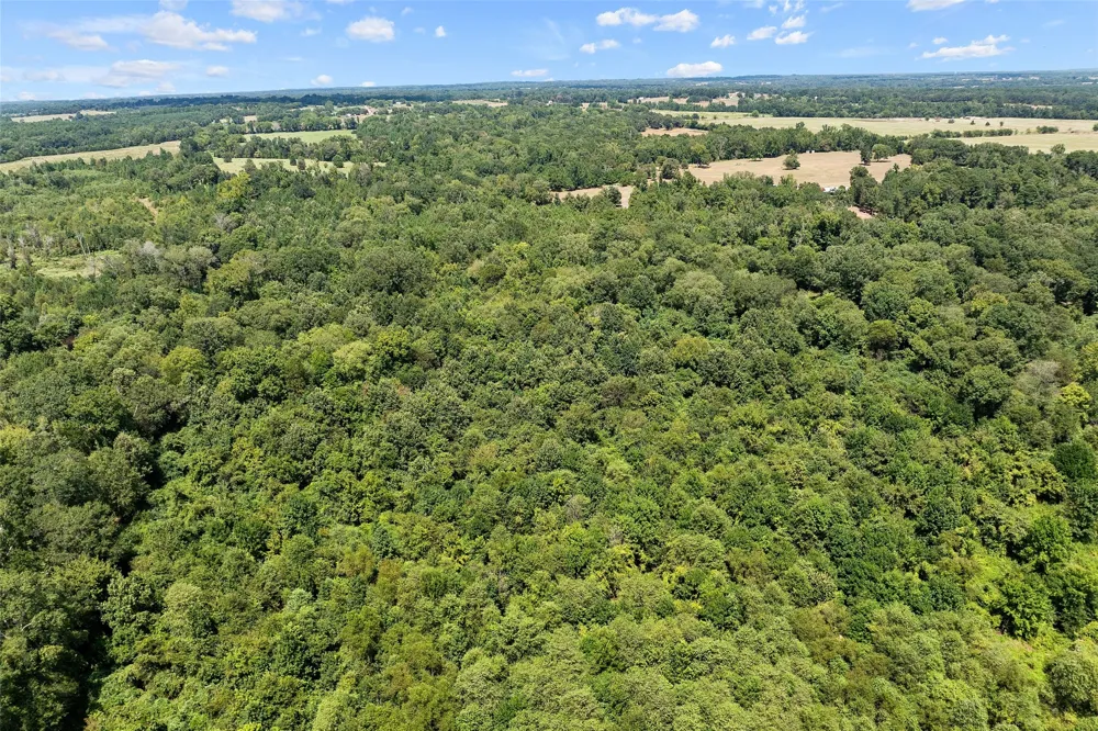 459 County Road 3303 Omaha, TX 75571
